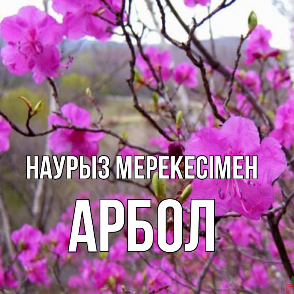 Күн сайын ашық хат с именем, Арбол Наурыз мерекесімен праздник весны наурыз Онлайн тегін жүктеп алу тілектері бар керемет карта 