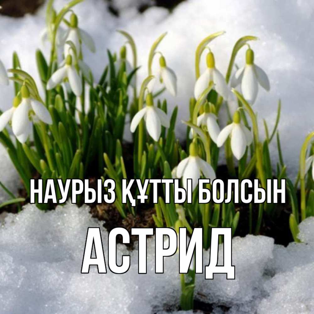 Күн сайын ашық хат с именем, Астрид Наурыз құтты болсын цветы весенние Онлайн тегін жүктеп алу тілектері бар керемет карта 