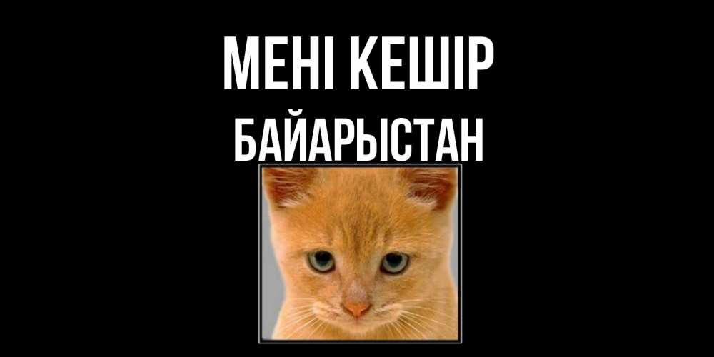 Күн сайын ашық хат с именем, Байарыстан Мені кешір рыжий грустный кот просит прощения Онлайн тегін жүктеп алу тілектері бар керемет карта 