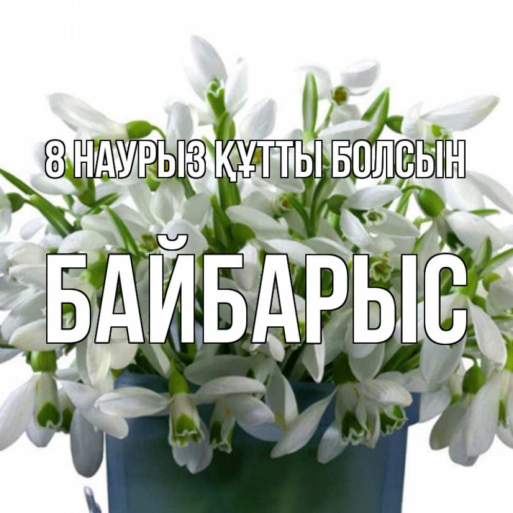 Күн сайын ашық хат с именем, Байбарыс 8 наурыз құтты болсын цветы к международному женскому дню Онлайн тегін жүктеп алу тілектері бар керемет карта 
