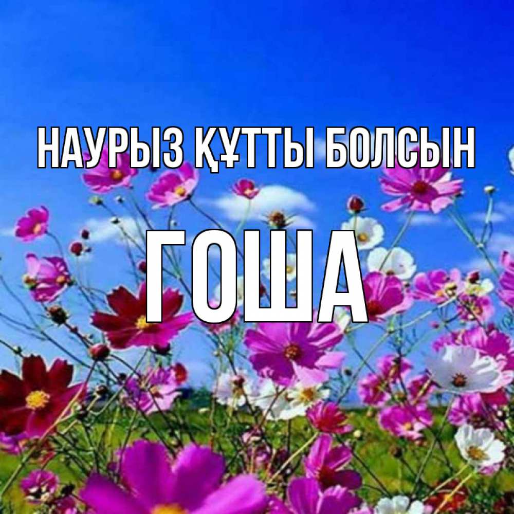 Күн сайын ашық хат с именем, Гоша Наурыз құтты болсын цветы Онлайн тегін жүктеп алу тілектері бар керемет карта 