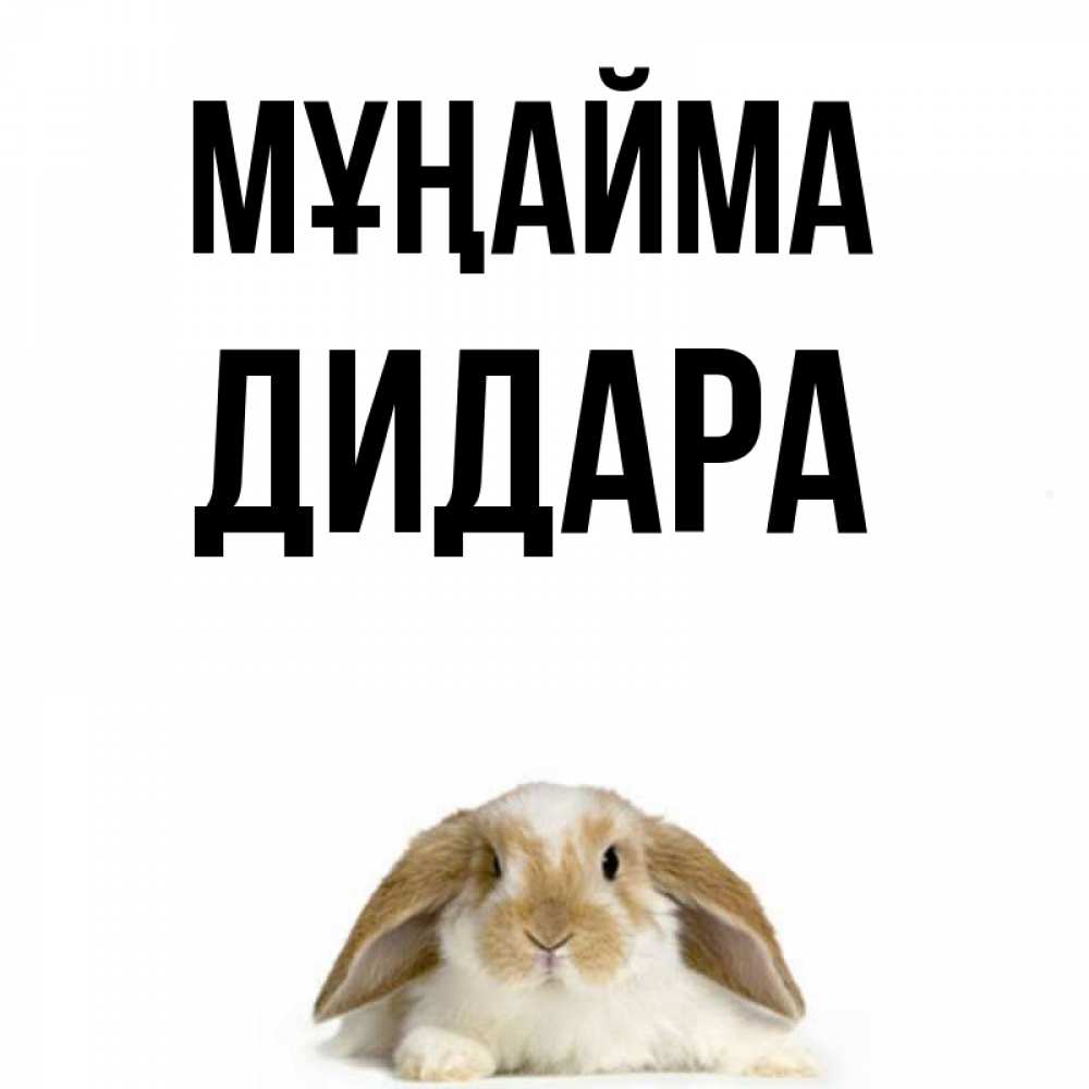 Күн сайын ашық хат с именем, ДИДАРА Мұңайма коричнево белый заяц с большими ушками Онлайн тегін жүктеп алу тілектері бар керемет карта 