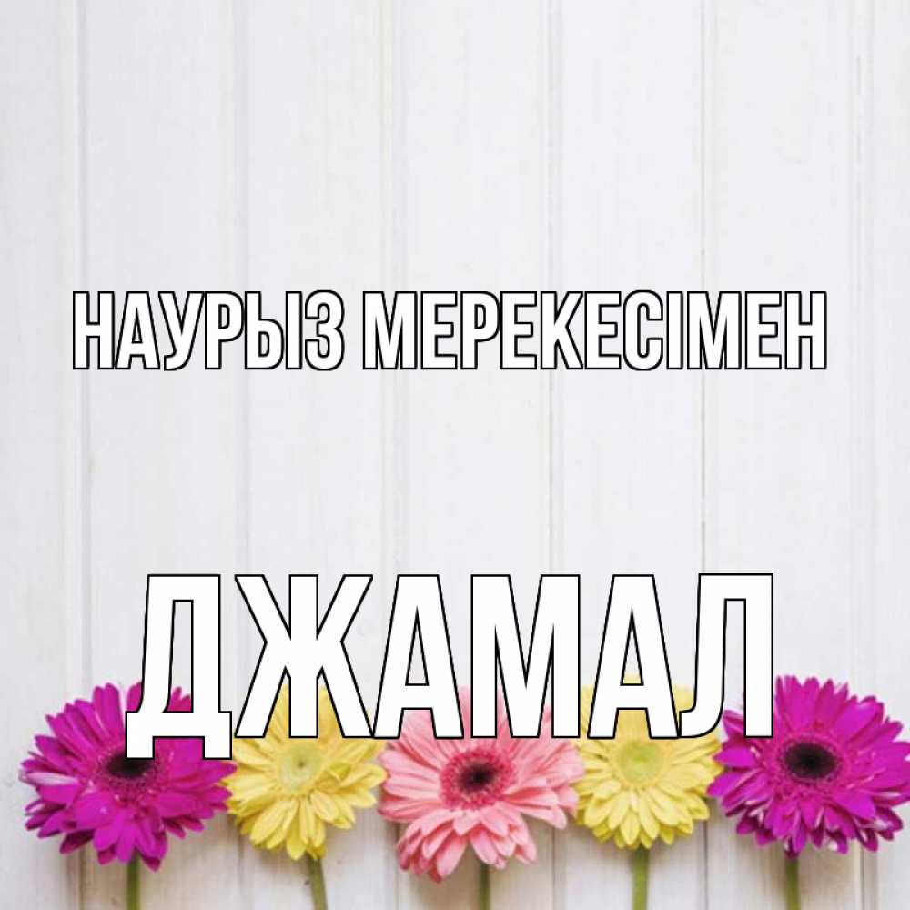 Күн сайын ашық хат с именем, Джамал Наурыз мерекесімен женщинам 1 Онлайн тегін жүктеп алу тілектері бар керемет карта 