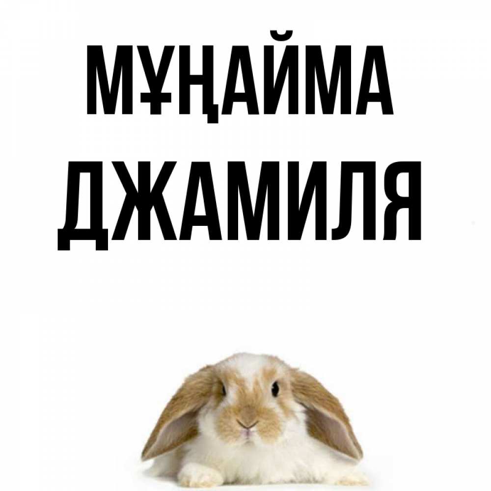 Күн сайын ашық хат с именем, Джамиля Мұңайма коричнево белый заяц с большими ушками Онлайн тегін жүктеп алу тілектері бар керемет карта 