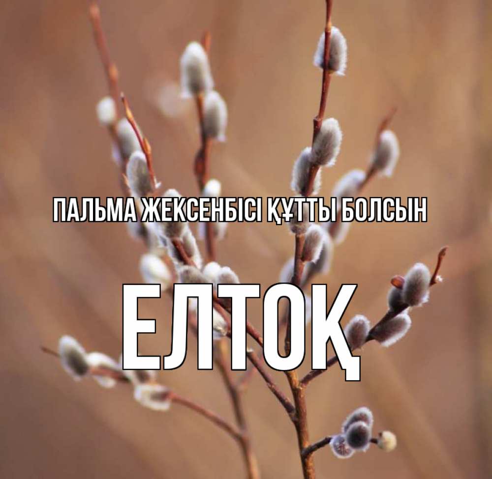 Күн сайын ашық хат с именем, Елтоқ Пальма жексенбісі құтты болсын верба Онлайн тегін жүктеп алу тілектері бар керемет карта 