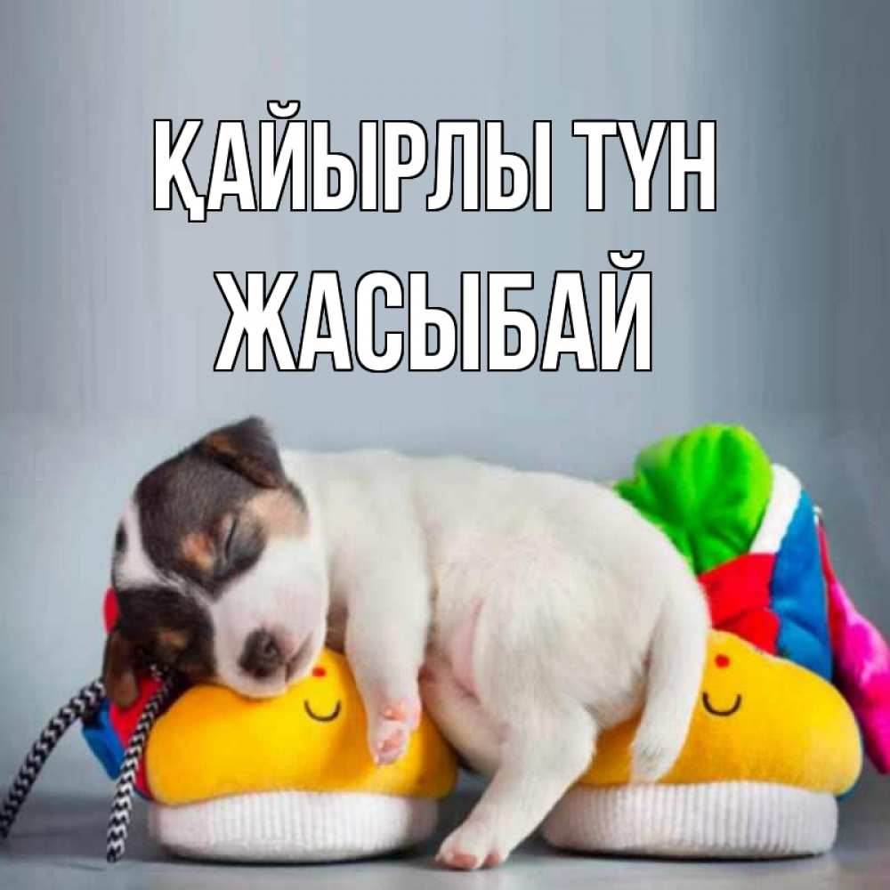 Күн сайын ашық хат с именем, Жасыбай Қайырлы түн собачка Онлайн тегін жүктеп алу тілектері бар керемет карта 