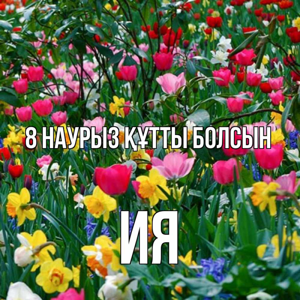 Күн сайын ашық хат с именем, Ия 8 наурыз құтты болсын с международным женским днем поздравления для женщины Онлайн тегін жүктеп алу тілектері бар керемет карта 