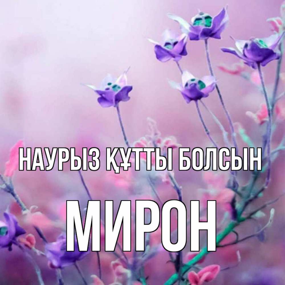 Күн сайын ашық хат с именем, МИРОН Наурыз құтты болсын наурыз  2 Онлайн тегін жүктеп алу тілектері бар керемет карта 