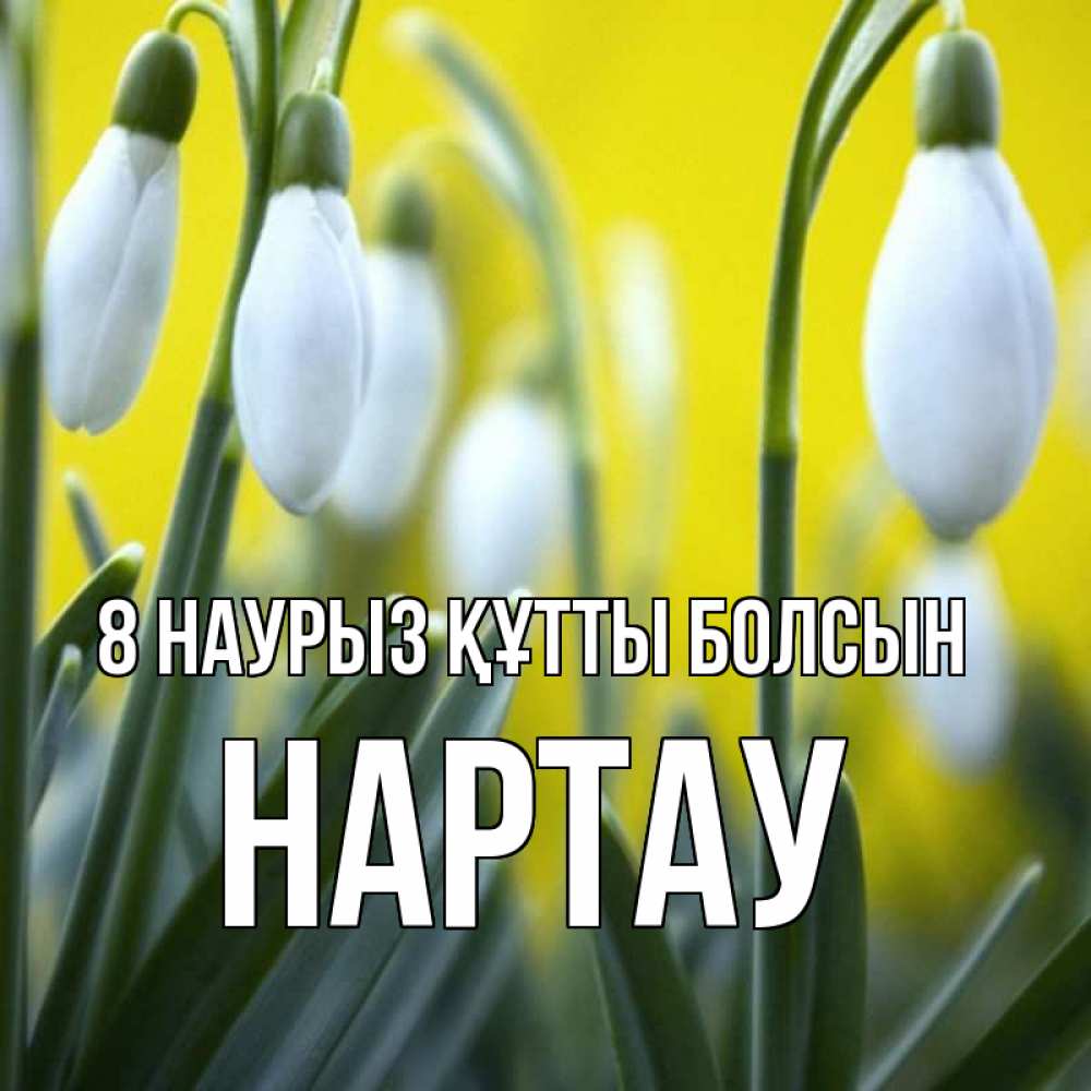 Күн сайын ашық хат с именем, НАРТАУ 8 наурыз құтты болсын весенние цветы Онлайн тегін жүктеп алу тілектері бар керемет карта 