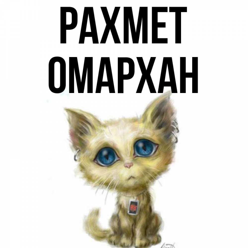 Күн сайын ашық хат с именем, ОМАРХАН рахмет рисованный кот благодарит вас Онлайн тегін жүктеп алу тілектері бар керемет карта 