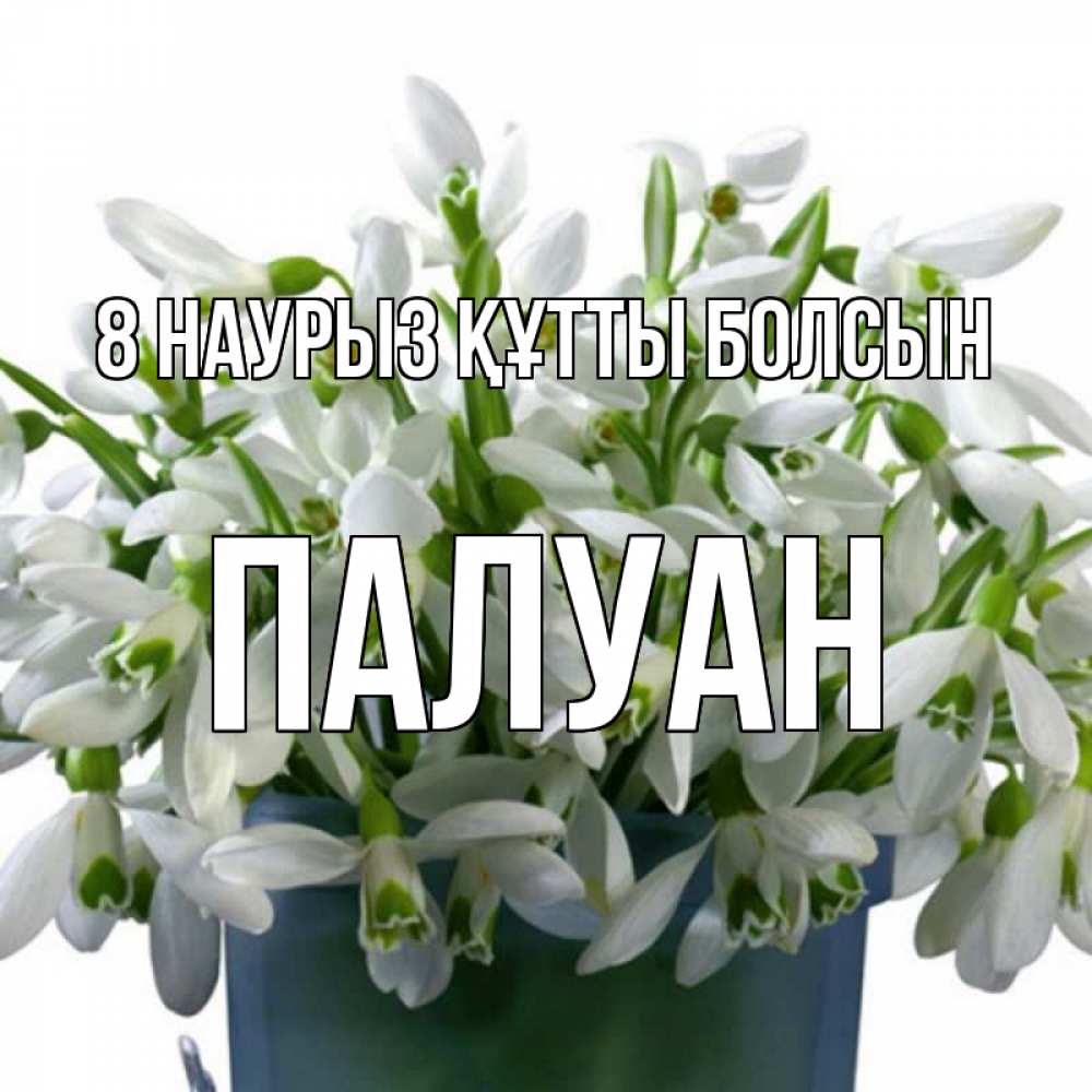 Күн сайын ашық хат с именем, ПАЛУАН 8 наурыз құтты болсын цветы к международному женскому дню Онлайн тегін жүктеп алу тілектері бар керемет карта 
