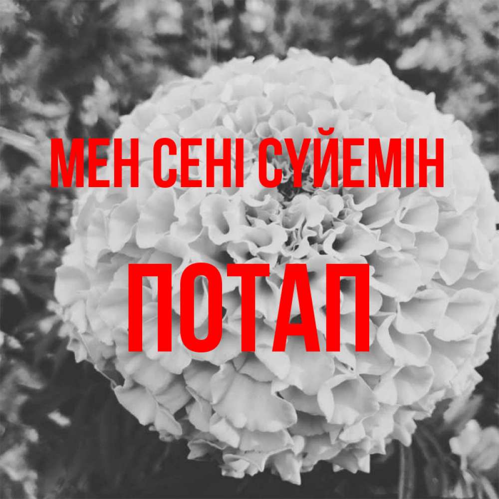 Күн сайын ашық хат с именем, Потап Мен сені сүйемін подпись Онлайн тегін жүктеп алу тілектері бар керемет карта 