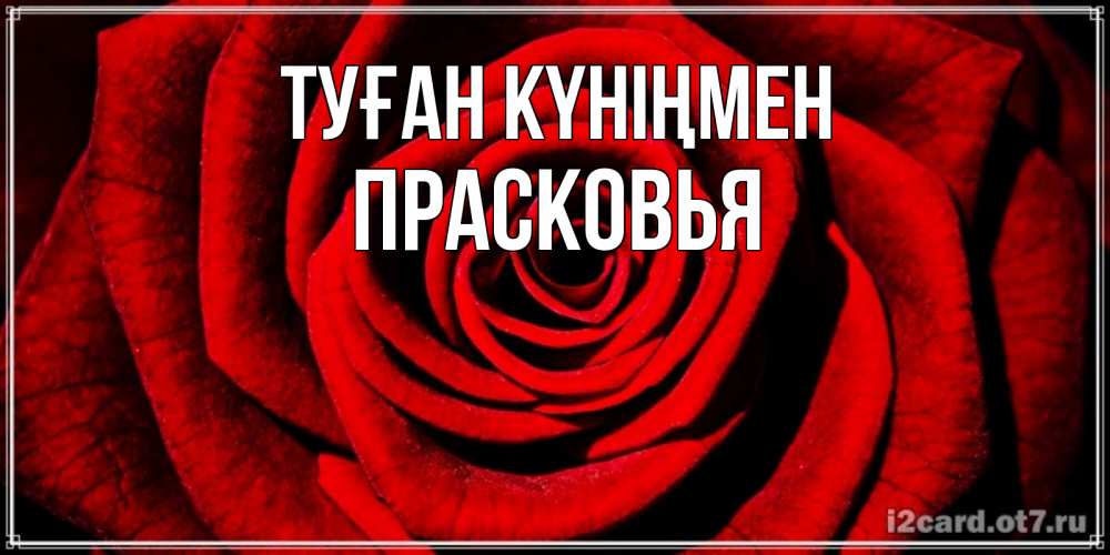 Күн сайын ашық хат с именем, Прасковья Туған күніңмен алая роза Онлайн тегін жүктеп алу тілектері бар керемет карта 