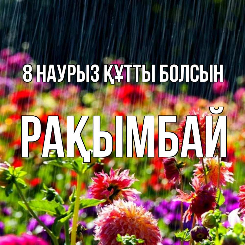 Күн сайын ашық хат с именем, Рақымбай 8 наурыз құтты болсын цветы под дождиком к международному женскому дню Онлайн тегін жүктеп алу тілектері бар керемет карта 