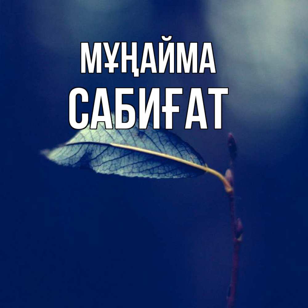 Күн сайын ашық хат с именем, САБИҒАТ Мұңайма растение Онлайн тегін жүктеп алу тілектері бар керемет карта 
