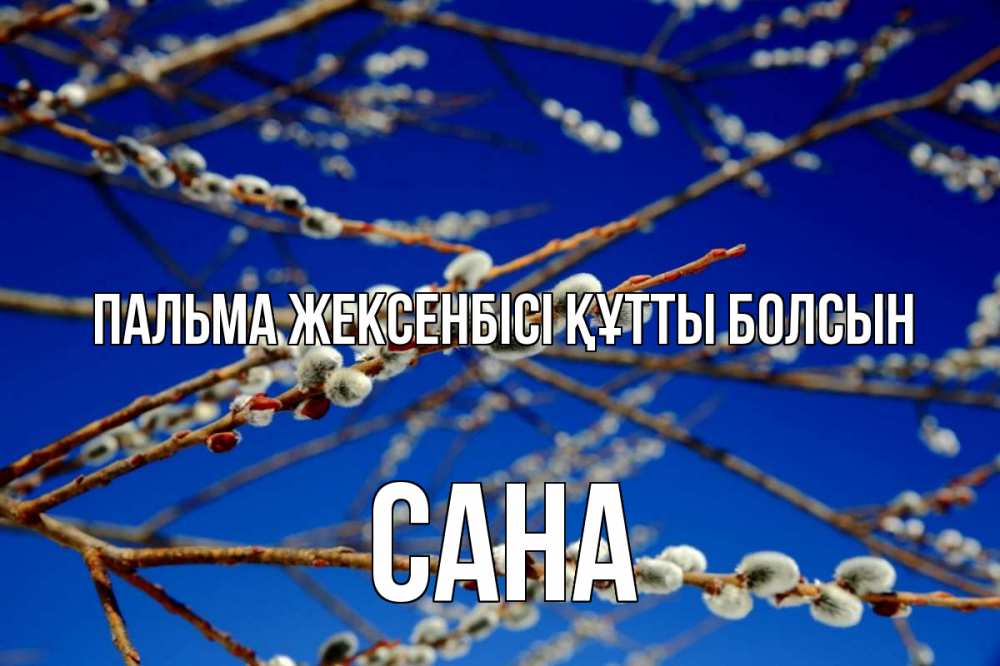 Күн сайын ашық хат с именем, САНА Пальма жексенбісі құтты болсын верба Онлайн тегін жүктеп алу тілектері бар керемет карта 