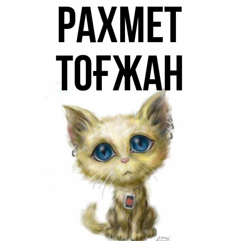 Күн сайын ашық хат с именем, ТОҒЖАН рахмет рисованный кот благодарит вас Онлайн тегін жүктеп алу тілектері бар керемет карта 