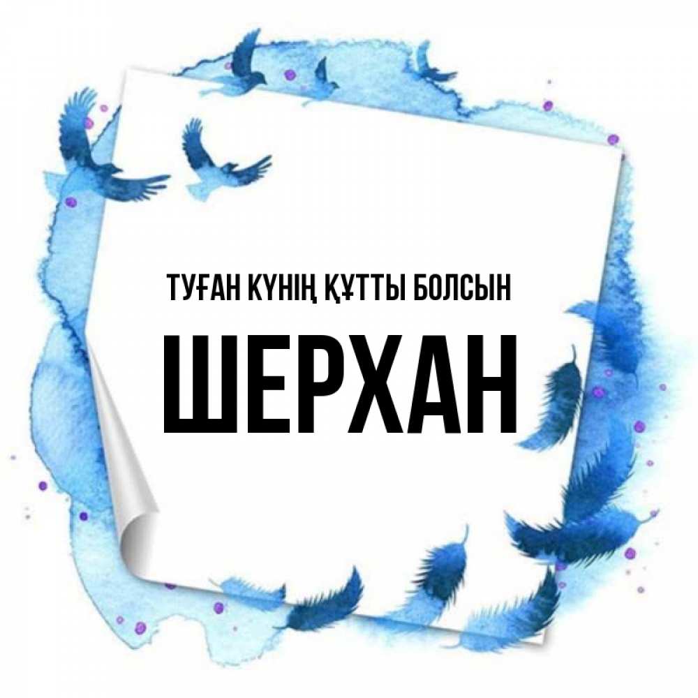 Күн сайын ашық хат с именем, ШЕРХАН Туған күнің құтты болсын красивые птицы летят Онлайн тегін жүктеп алу тілектері бар керемет карта 