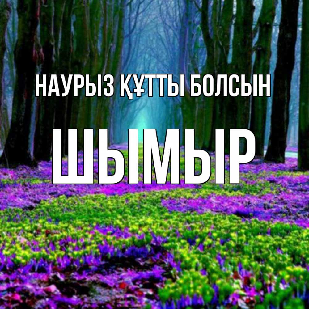 Күн сайын ашық хат с именем, ШЫМЫР Наурыз құтты болсын фиолетовые цветы в лесу 1 Онлайн тегін жүктеп алу тілектері бар керемет карта 