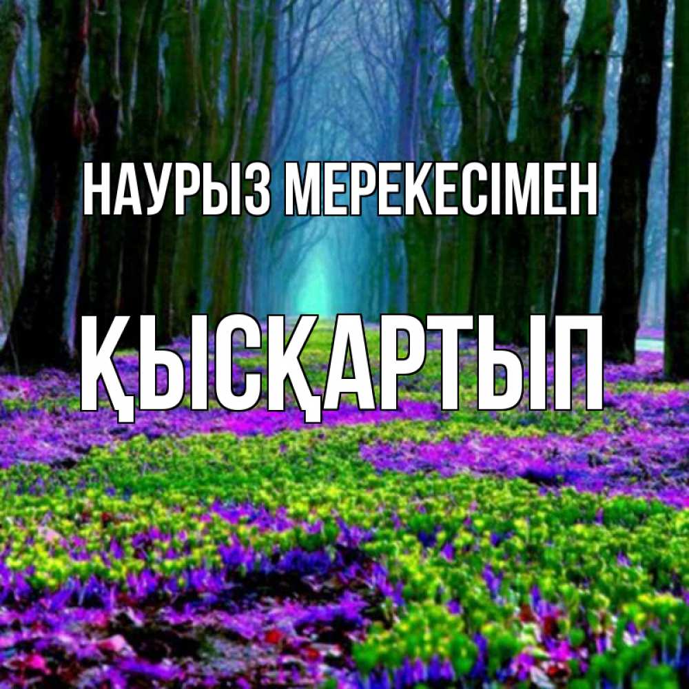 Күн сайын ашық хат с именем, Қысқартып Наурыз мерекесімен фиолетовые цветы в лесу 1 Онлайн тегін жүктеп алу тілектері бар керемет карта 