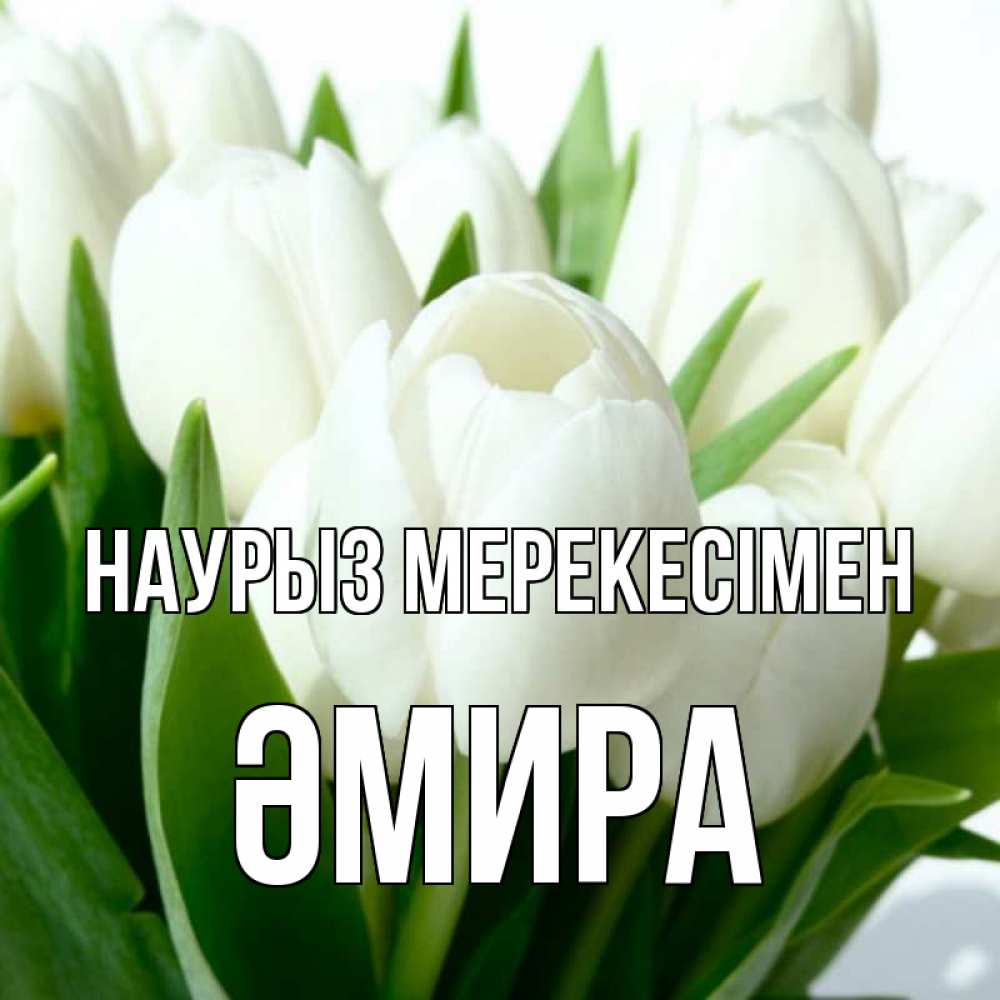 Күн сайын ашық хат с именем, ӘМИРА Наурыз мерекесімен цветы Онлайн тегін жүктеп алу тілектері бар керемет карта 