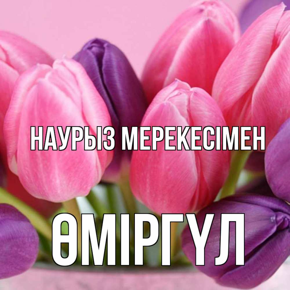 Күн сайын ашық хат с именем, ӨМІРГҮЛ Наурыз мерекесімен маме 1 Онлайн тегін жүктеп алу тілектері бар керемет карта 