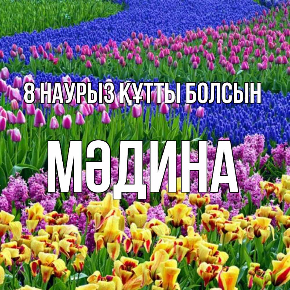 Күн сайын ашық хат с именем, МӘДИНА 8 наурыз құтты болсын цветы Онлайн тегін жүктеп алу тілектері бар керемет карта 
