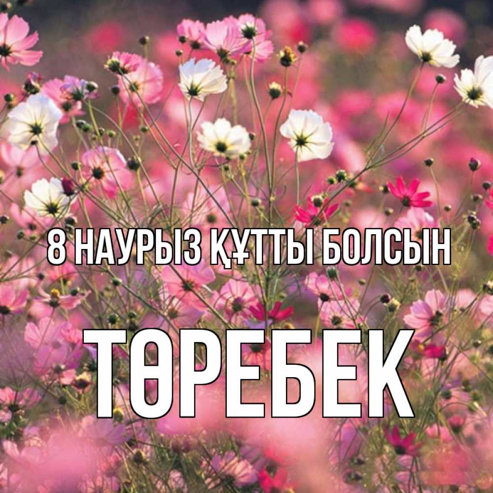 Күн сайын ашық хат с именем, ТӨРЕБЕК 8 наурыз құтты болсын красиво 1 Онлайн тегін жүктеп алу тілектері бар керемет карта 