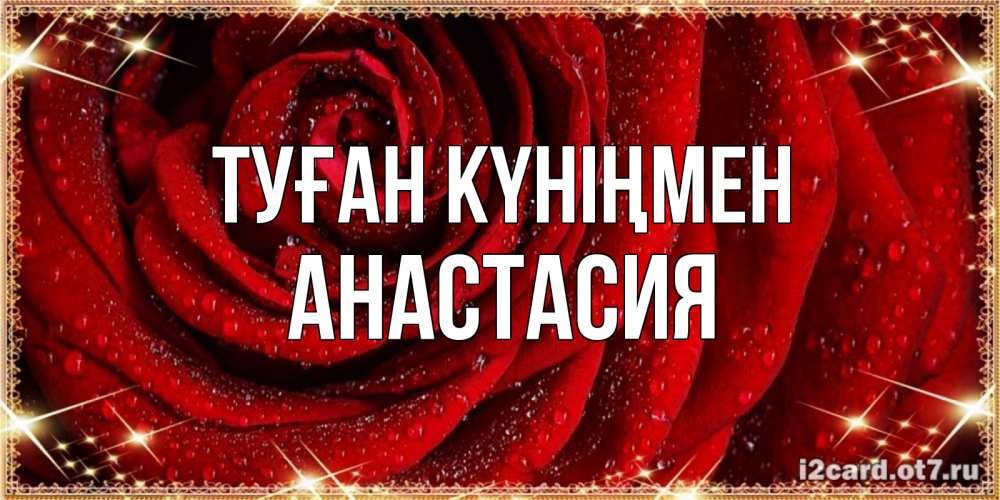 Күн сайын ашық хат с именем, Анастасия Туған күніңмен роса на розе блестящая в лучах солнца Онлайн тегін жүктеп алу тілектері бар керемет карта 