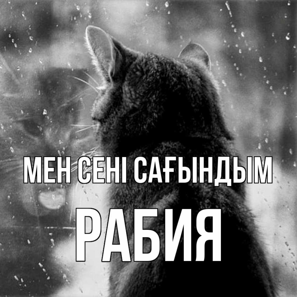 Күн сайын ашық хат с именем, РАБИЯ Мен сені сағындым скорее ко мне приходи 1 Онлайн тегін жүктеп алу тілектері бар керемет карта 