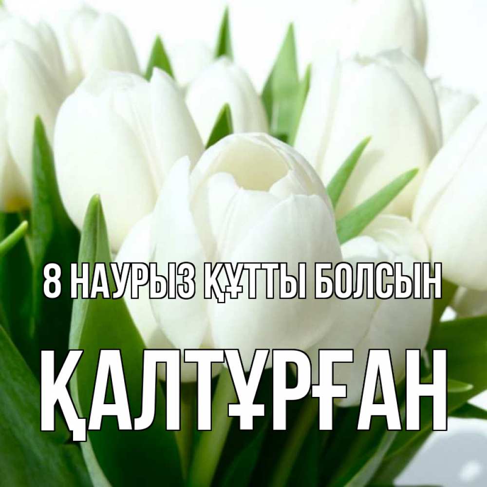 Күн сайын ашық хат с именем, ҚАЛТҰРҒАН 8 наурыз құтты болсын цветы Онлайн тегін жүктеп алу тілектері бар керемет карта 