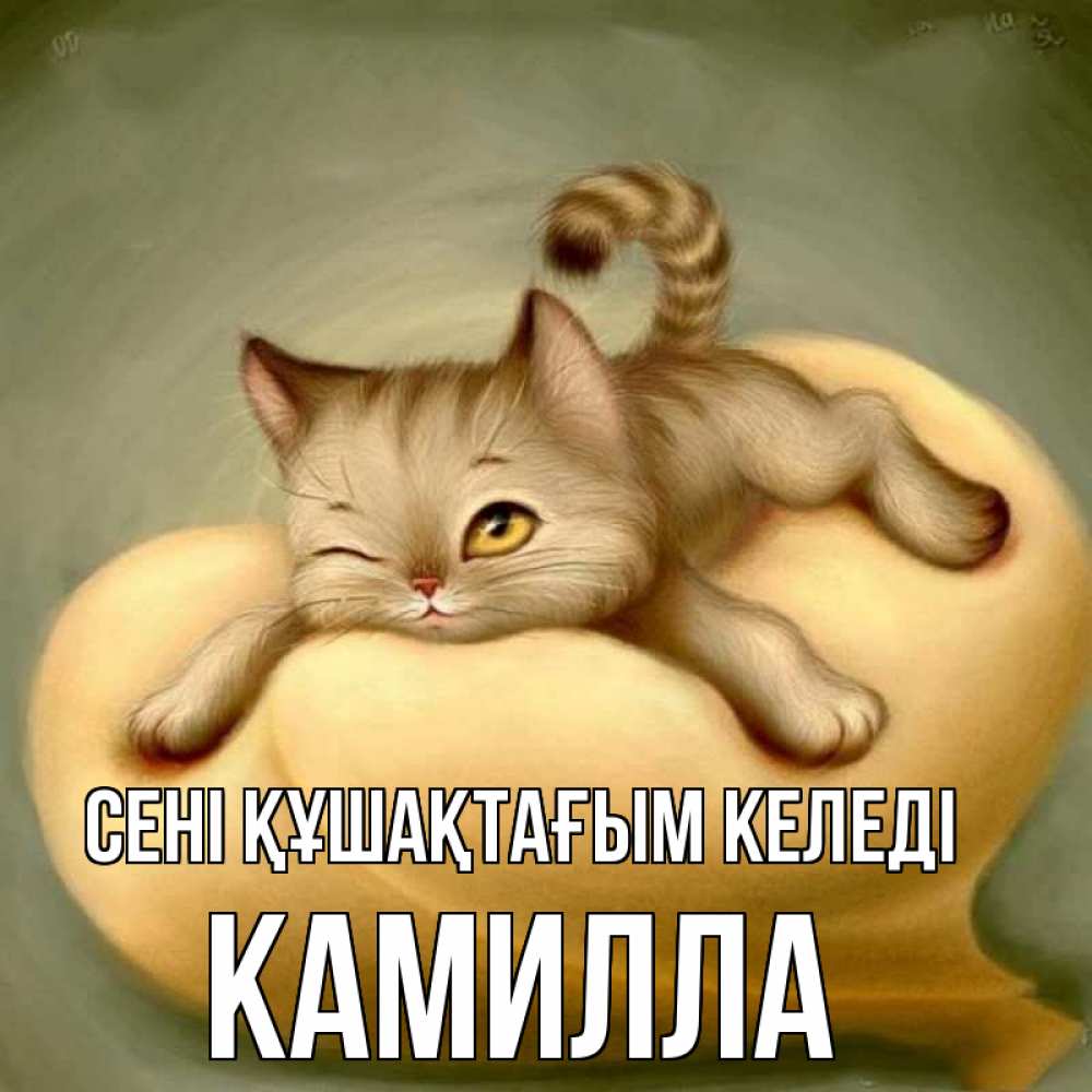Күн сайын ашық хат с именем, Камилла сені құшақтағым келеді кошечка Онлайн тегін жүктеп алу тілектері бар керемет карта 