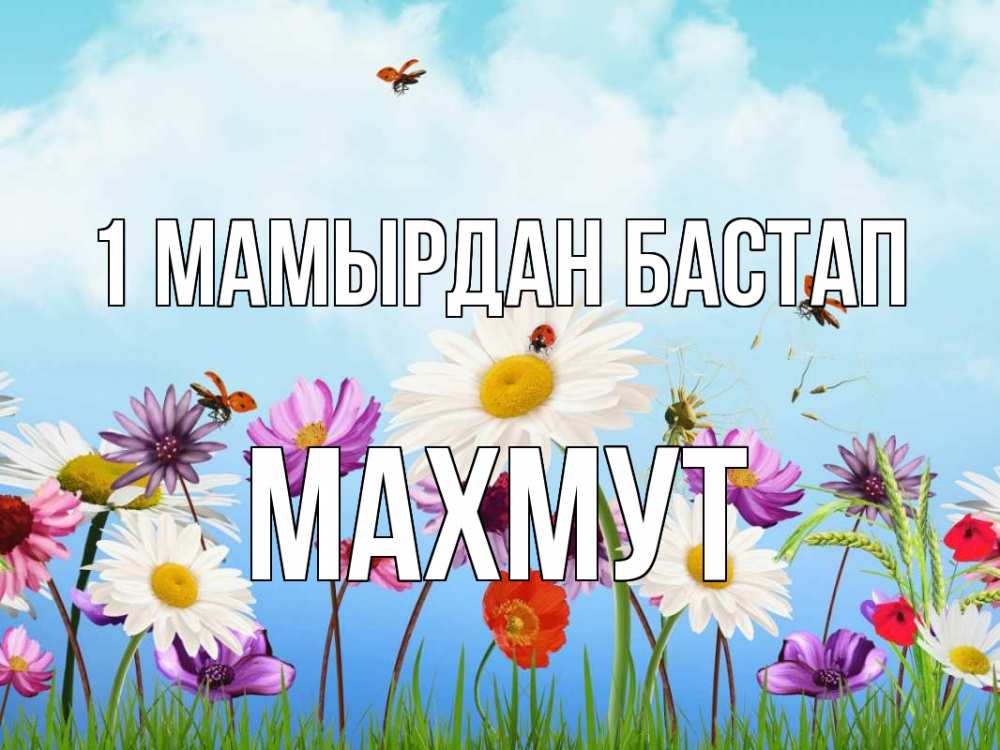 Күн сайын ашық хат с именем, МАХМУТ 1 мамырдан бастап С 1 мая Онлайн тегін жүктеп алу тілектері бар керемет карта 