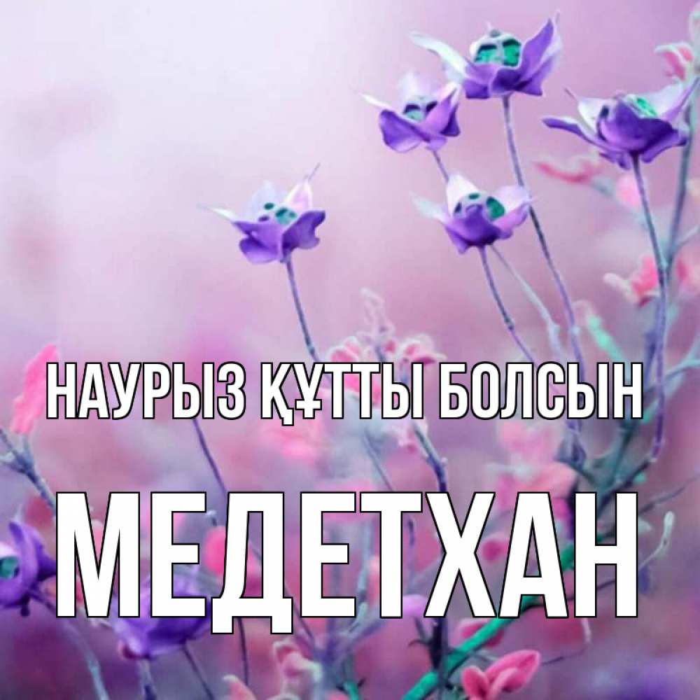 Күн сайын ашық хат с именем, МЕДЕТХАН Наурыз құтты болсын наурыз  2 Онлайн тегін жүктеп алу тілектері бар керемет карта 