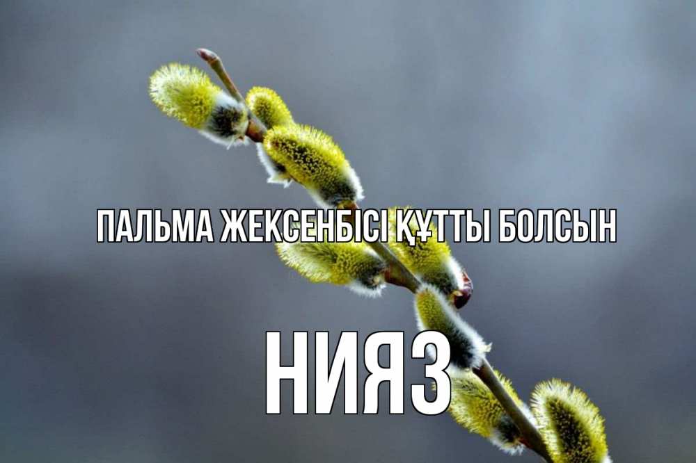 Күн сайын ашық хат с именем, НИЯЗ Пальма жексенбісі құтты болсын верба Онлайн тегін жүктеп алу тілектері бар керемет карта 