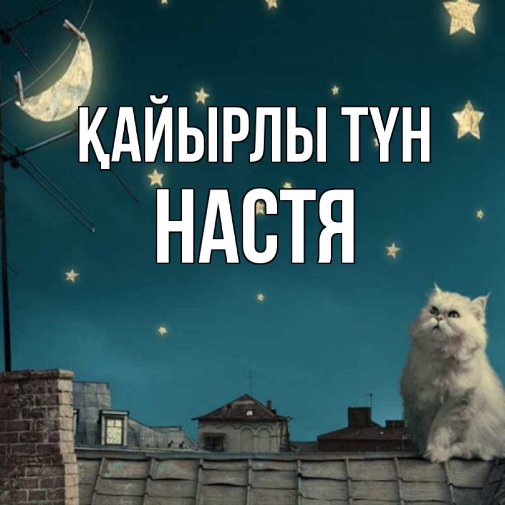 Күн сайын ашық хат с именем, Настя Қайырлы түн белый кот сидит на крыше Онлайн тегін жүктеп алу тілектері бар керемет карта 
