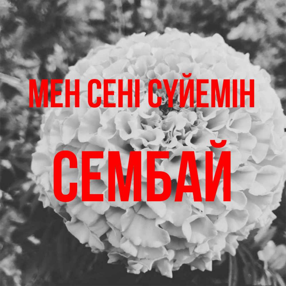 Күн сайын ашық хат с именем, СЕМБАЙ Мен сені сүйемін подпись Онлайн тегін жүктеп алу тілектері бар керемет карта 