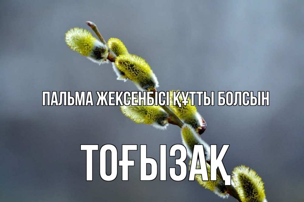 Күн сайын ашық хат с именем, ТОҒЫЗАҚ Пальма жексенбісі құтты болсын верба Онлайн тегін жүктеп алу тілектері бар керемет карта 