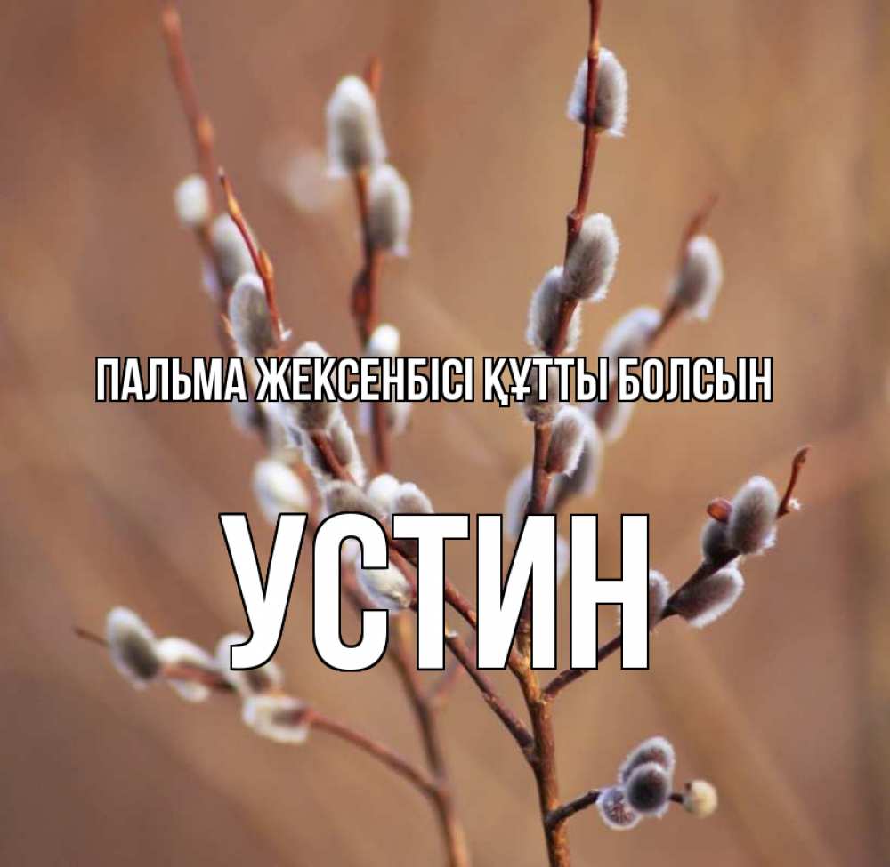 Күн сайын ашық хат с именем, Устин Пальма жексенбісі құтты болсын верба Онлайн тегін жүктеп алу тілектері бар керемет карта 