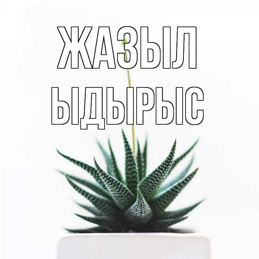 Күн сайын ашық хат с именем, ЫДЫРЫС Жазыл короче это непонятная колючка Онлайн тегін жүктеп алу тілектері бар керемет карта 