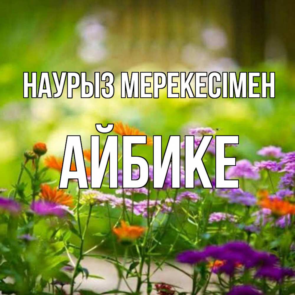 Күн сайын ашық хат с именем, АЙБИКЕ Наурыз мерекесімен цветы Онлайн тегін жүктеп алу тілектері бар керемет карта 
