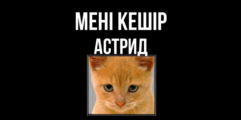Күн сайын ашық хат с именем, Астрид Мені кешір рыжий грустный кот просит прощения Онлайн тегін жүктеп алу тілектері бар керемет карта 