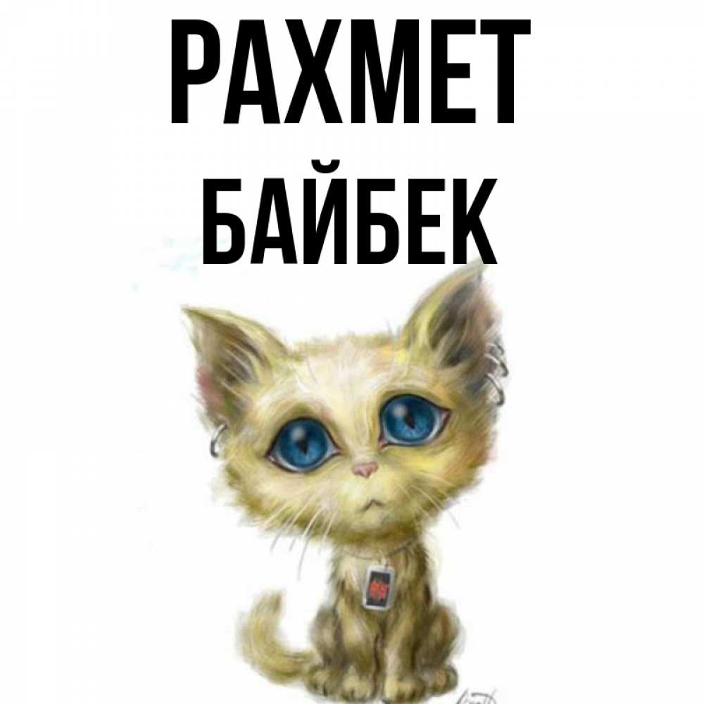 Күн сайын ашық хат с именем, Байбек рахмет рисованный кот благодарит вас Онлайн тегін жүктеп алу тілектері бар керемет карта 