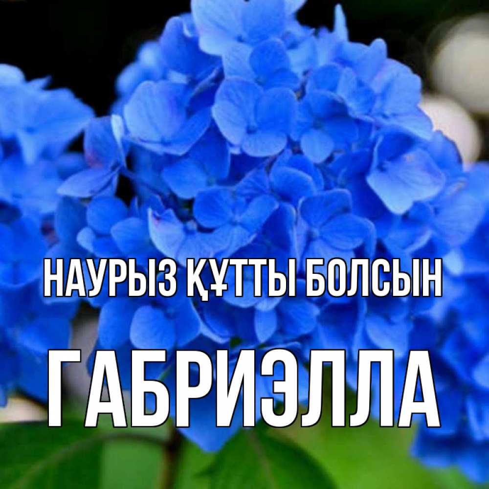 Күн сайын ашық хат с именем, Габриэлла Наурыз құтты болсын синие цветы Онлайн тегін жүктеп алу тілектері бар керемет карта 