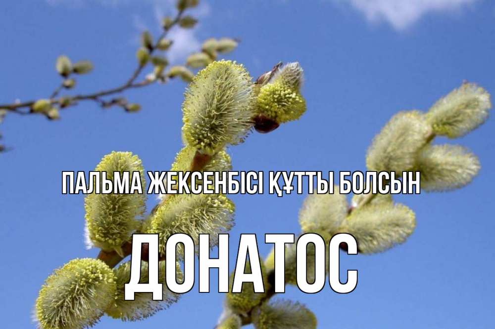 Күн сайын ашық хат с именем, Донатос Пальма жексенбісі құтты болсын верба Онлайн тегін жүктеп алу тілектері бар керемет карта 