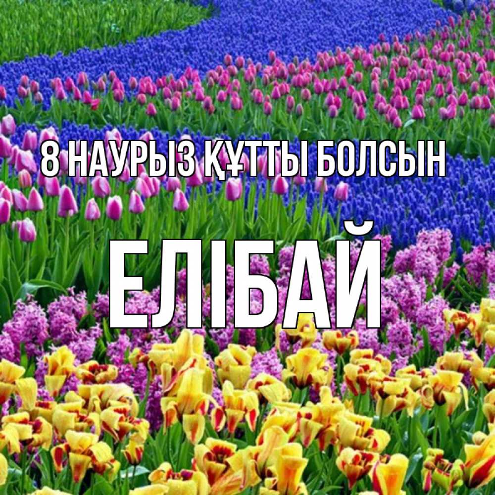 Күн сайын ашық хат с именем, Елібай 8 наурыз құтты болсын цветы Онлайн тегін жүктеп алу тілектері бар керемет карта 