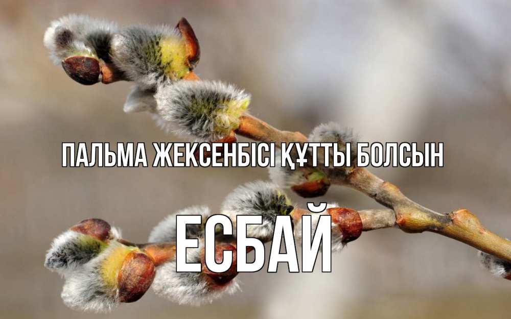 Күн сайын ашық хат с именем, Есбай Пальма жексенбісі құтты болсын Верба Онлайн тегін жүктеп алу тілектері бар керемет карта 