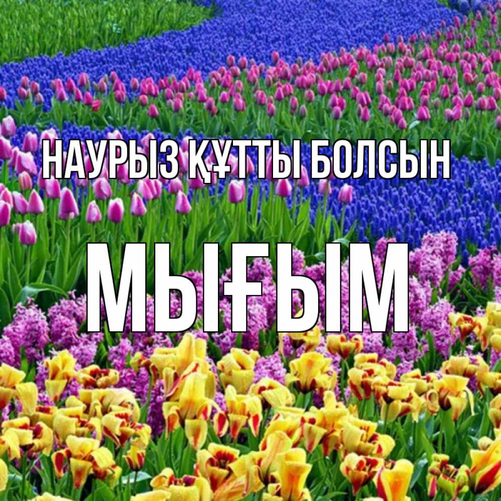 Күн сайын ашық хат с именем, МЫҒЫМ Наурыз құтты болсын цветы Онлайн тегін жүктеп алу тілектері бар керемет карта 