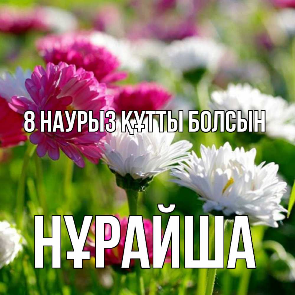 Күн сайын ашық хат с именем, НҰРАЙША 8 наурыз құтты болсын международный женский день 1 Онлайн тегін жүктеп алу тілектері бар керемет карта 