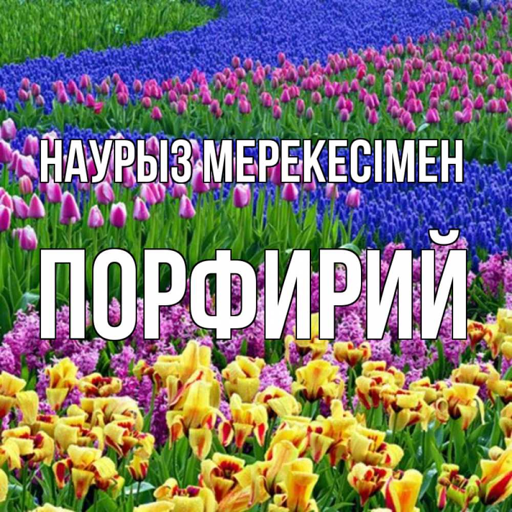 Күн сайын ашық хат с именем, Порфирий Наурыз мерекесімен цветы Онлайн тегін жүктеп алу тілектері бар керемет карта 